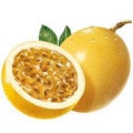 میوه گل ساعت
