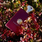 قیمت ادکلن journey