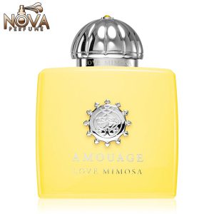 عطر آمواج لاو میموسا