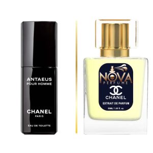 عطر شنل انتیوس
