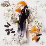 خرید عطر گود گرل لجر