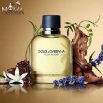 قیمت عطر دولچه گابانا پورهوم