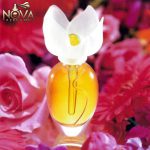 عطر کلوهه نارسیس