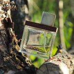قیمت عطر شی وود