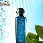 ادکلن سیترون نویر