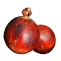 مانینکا
