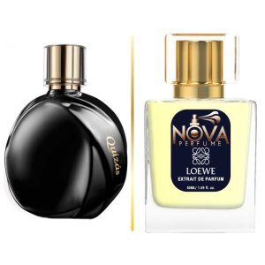 عطر لووه کویزاس سداکشن